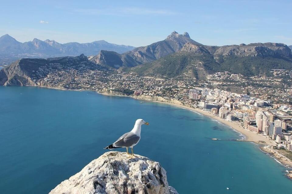 Apartamento Arenal 3 - Plusholidays Calpe Kültér fotó